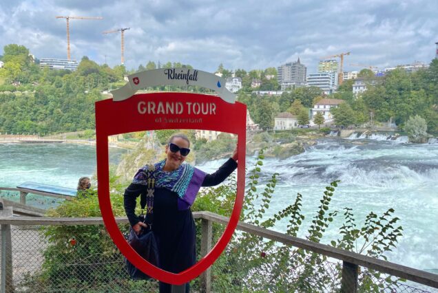 Excursão privada de meio dia às Cataratas do Reno - as maiores cachoeiras da Europa - saindo de Zurique