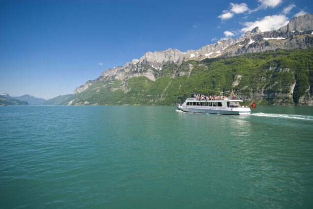 Private Tours in Switzerland