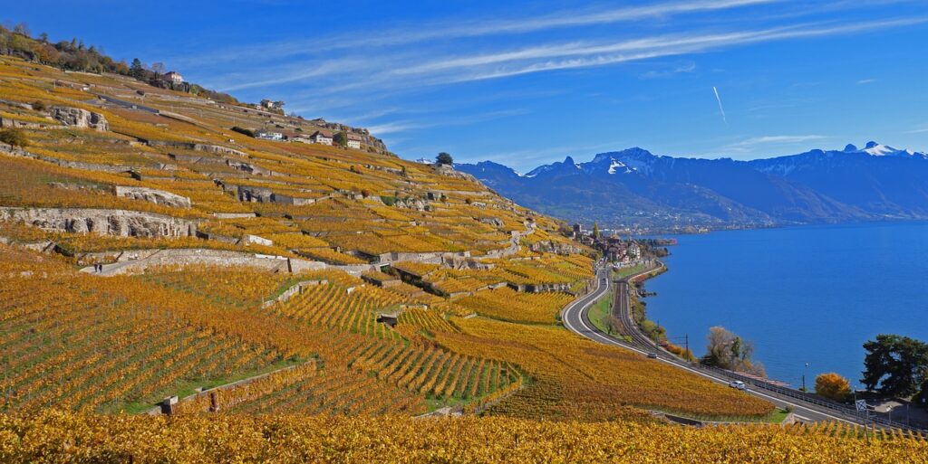 winegrowing families switzerland