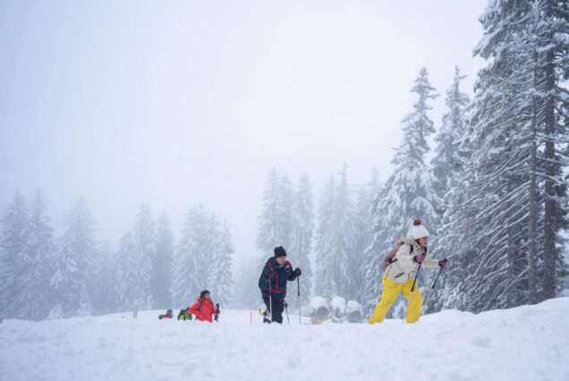 winter tour zurich snowshoe