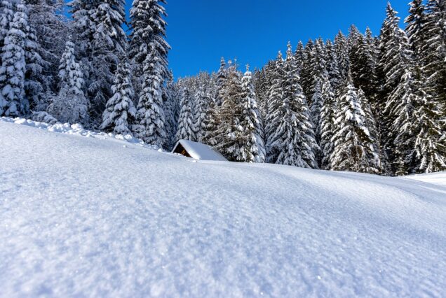 night hike excursions switzerland