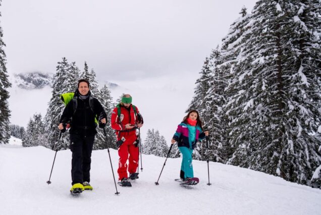 guide hike trails in the snow zurich swiss