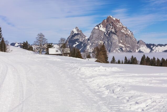 Guide Tour to Fronalpstock from Zurich