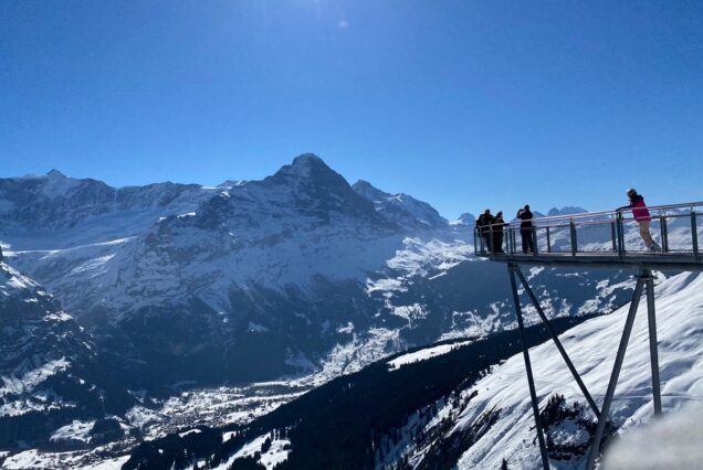 Tour to the cliff walk suspension bridge from zurich