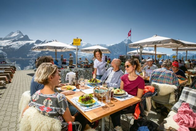panoramic tours swiss alps with guide from zurich