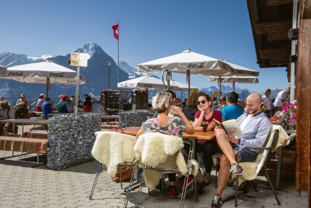 panoramic tours swiss alps with guide