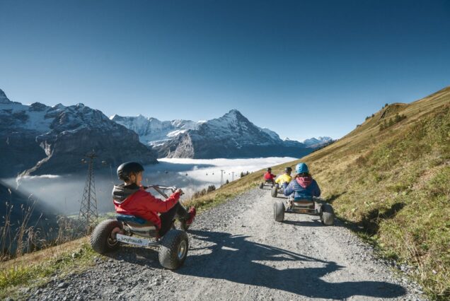 Tour Mountain Cart from zurich