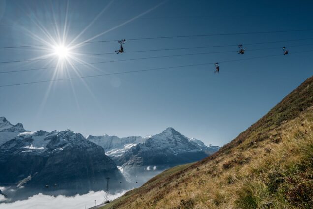 Zipline swiss Alps from Zurich