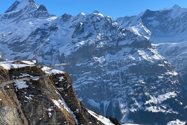 Guided guided ttrip to the swiss Alps with the best panoramic view