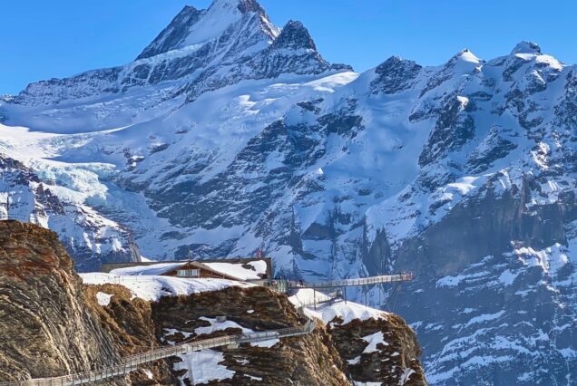 Guided tour to the swiss Alps with the best panoramic view